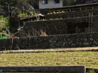 d0109373_15162469.jpg