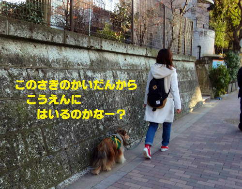 a0157174_22111799.png