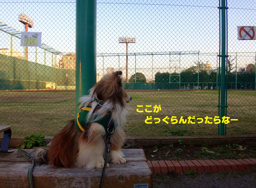 a0157174_22203276.png