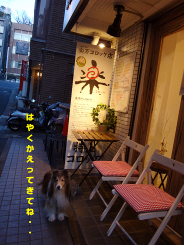 a0157174_22272029.png