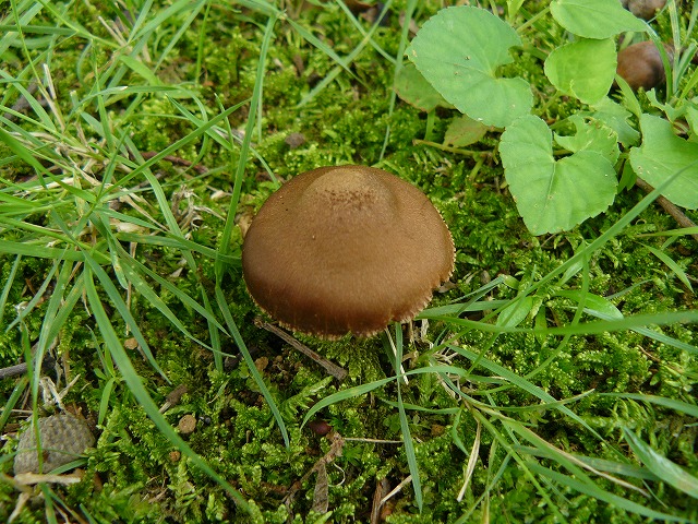 d0019074_16393877.jpg