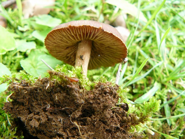 d0019074_16395718.jpg