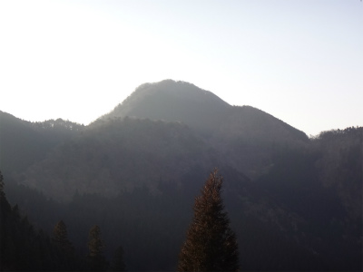 d0182075_3323930.jpg