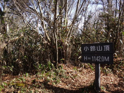 d0182075_3572266.jpg