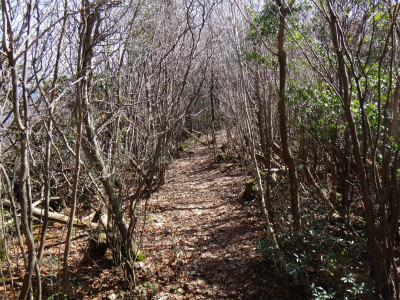 d0182075_3592895.jpg