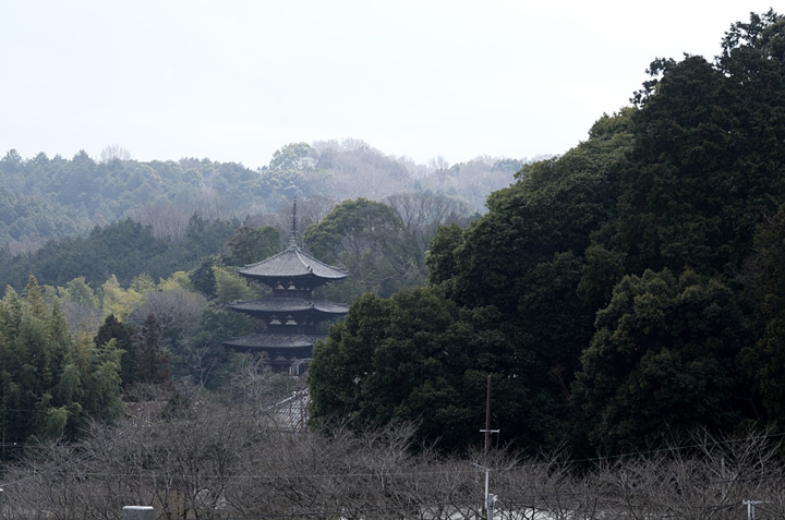 f0108478_1810152.jpg