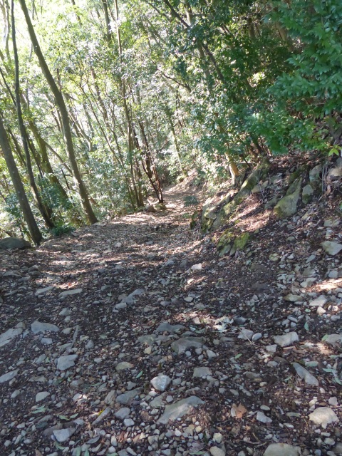 f0357487_2330435.jpg