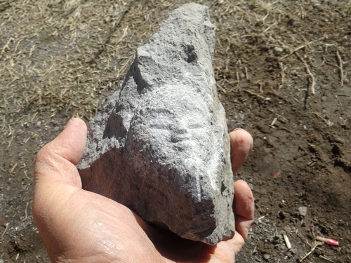 d0212491_14321540.jpg