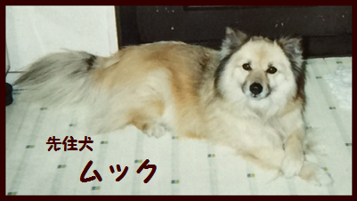 d0282395_1359025.png
