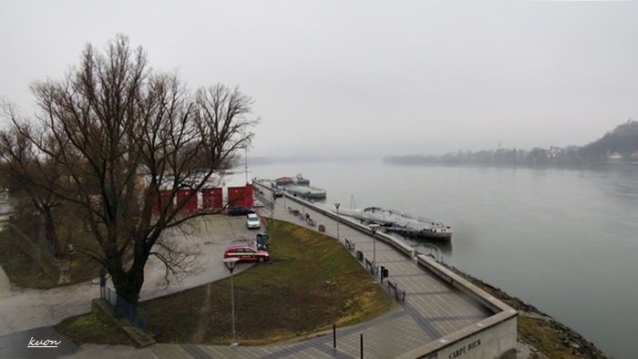 f0053297_1428723.jpg