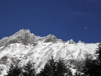 d0032405_2130295.jpg