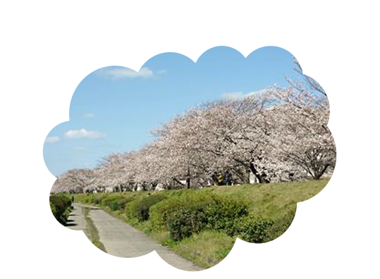 b0273309_194179.png