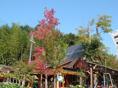 a0019212_18544257.jpg