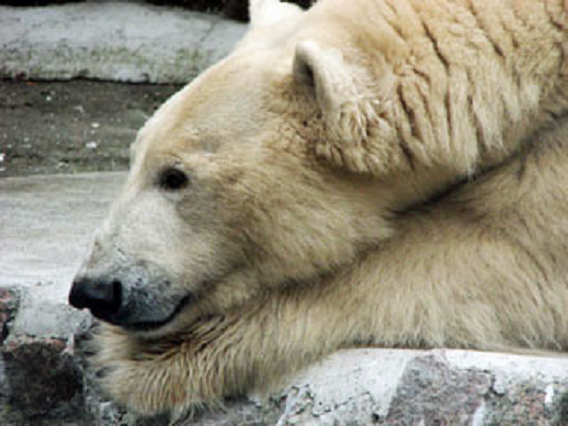 a0151913_148910.png