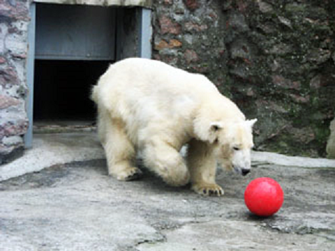a0151913_152925.png