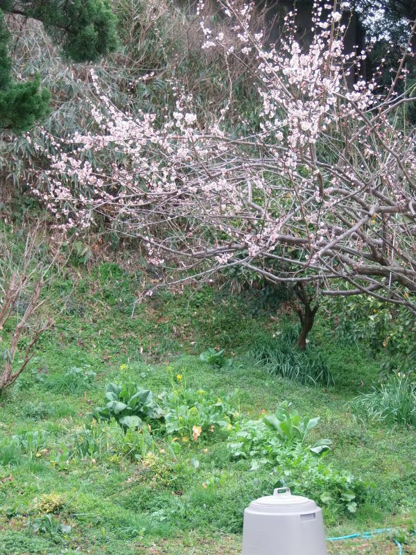 a0125419_09062610.jpg