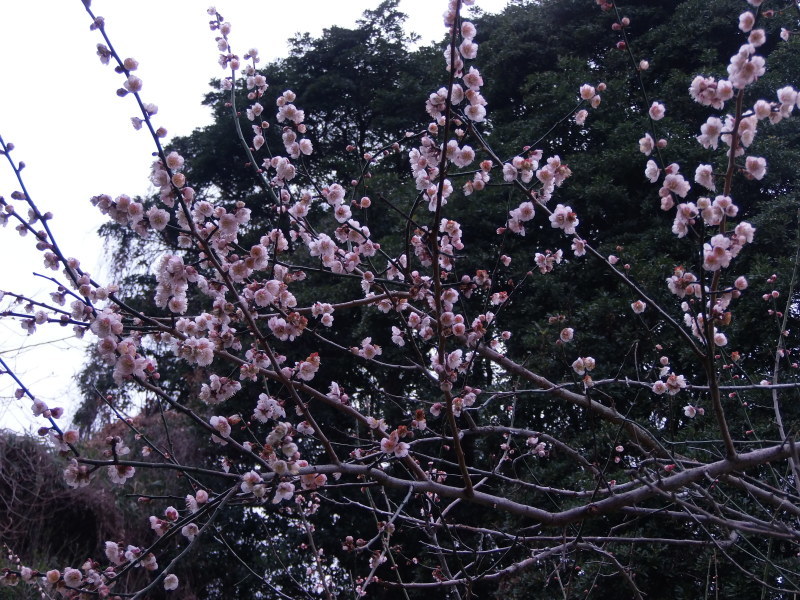 a0125419_09070082.jpg