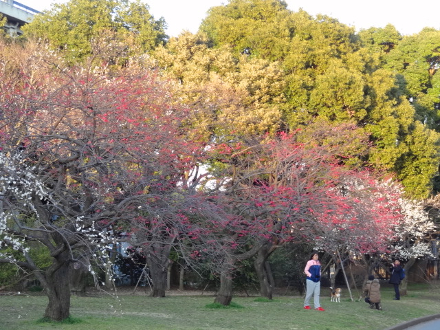 e0016828_11101185.jpg