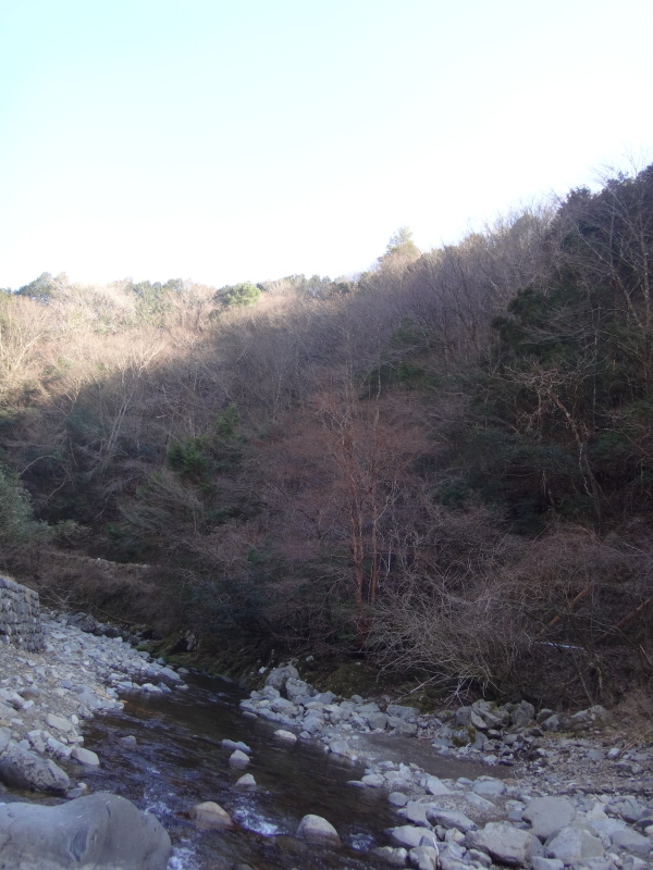 a0156834_20112071.jpg