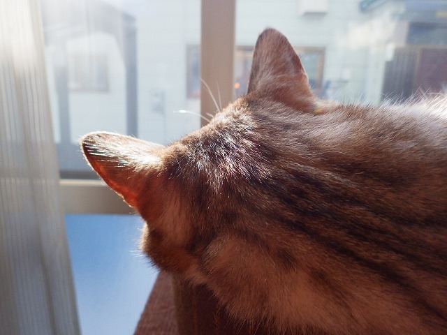 a0337237_14561060.jpg