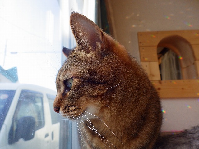 a0337237_14563567.jpg
