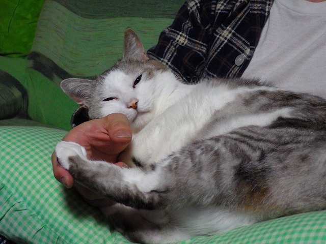 a0337237_15330346.jpg