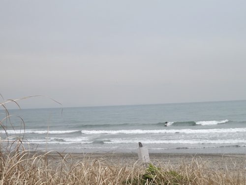 f0248337_10443064.jpg