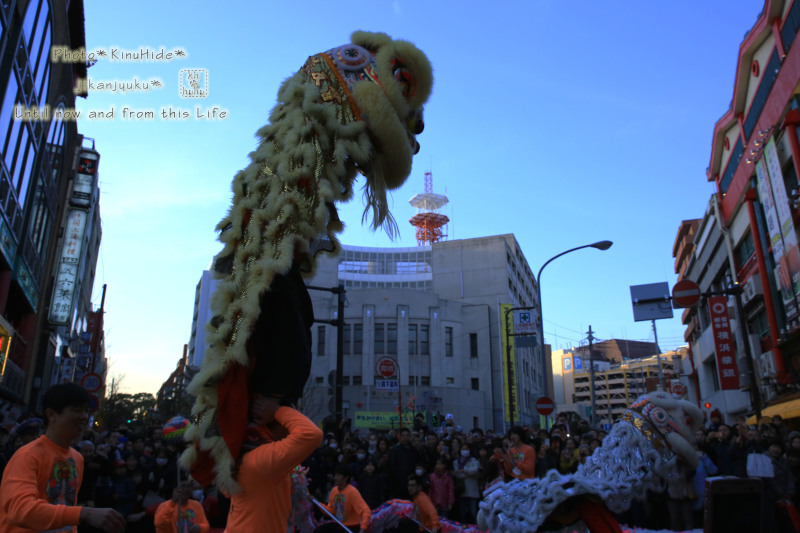 e0151944_16103419.jpg
