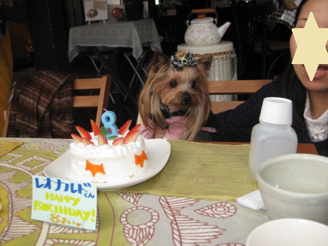 c0134645_1152599.jpg