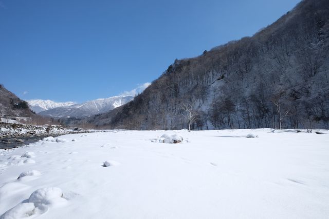 d0247247_21235930.jpg