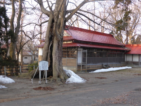 b0238249_19411472.jpg