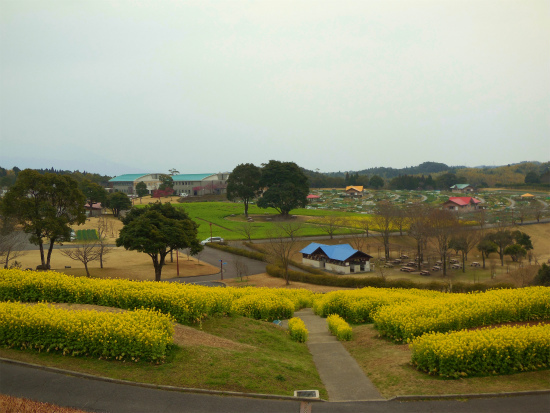 f0130557_23565556.jpg