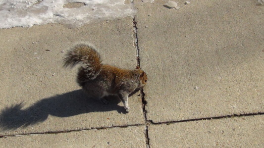 c0076764_06341188.jpg