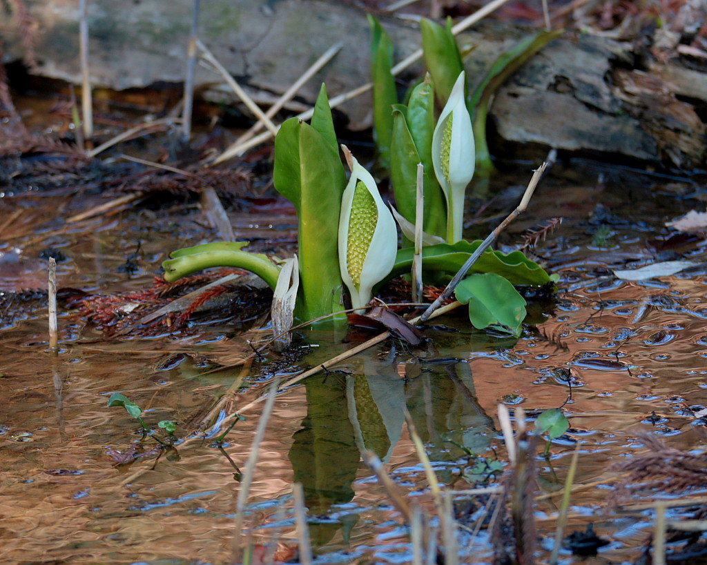 c0305565_17584773.jpg