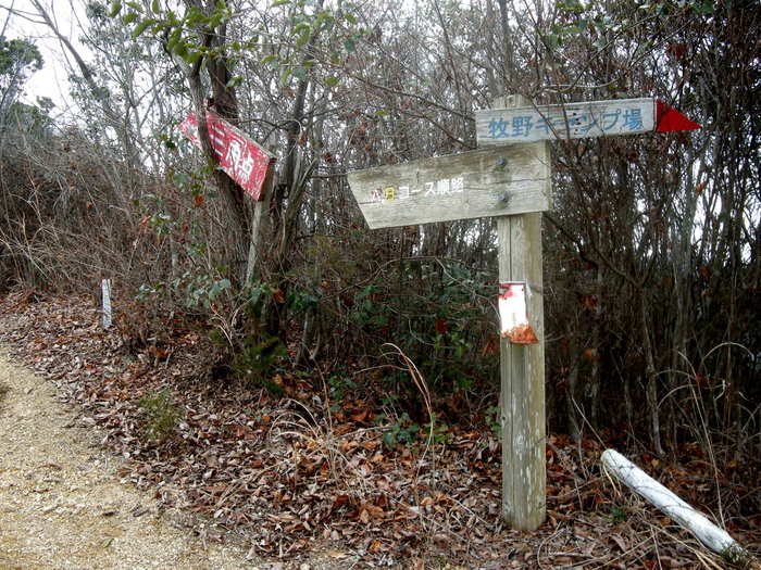 b0185573_1410861.jpg