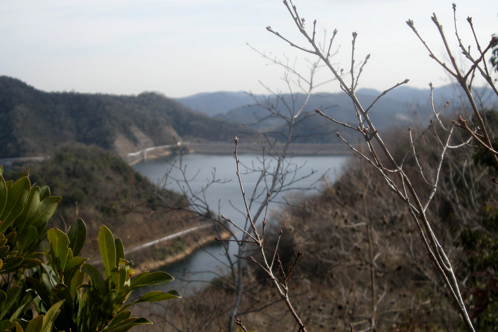 b0185573_21495540.jpg