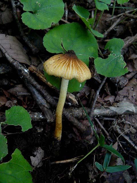 d0019074_13594033.jpg