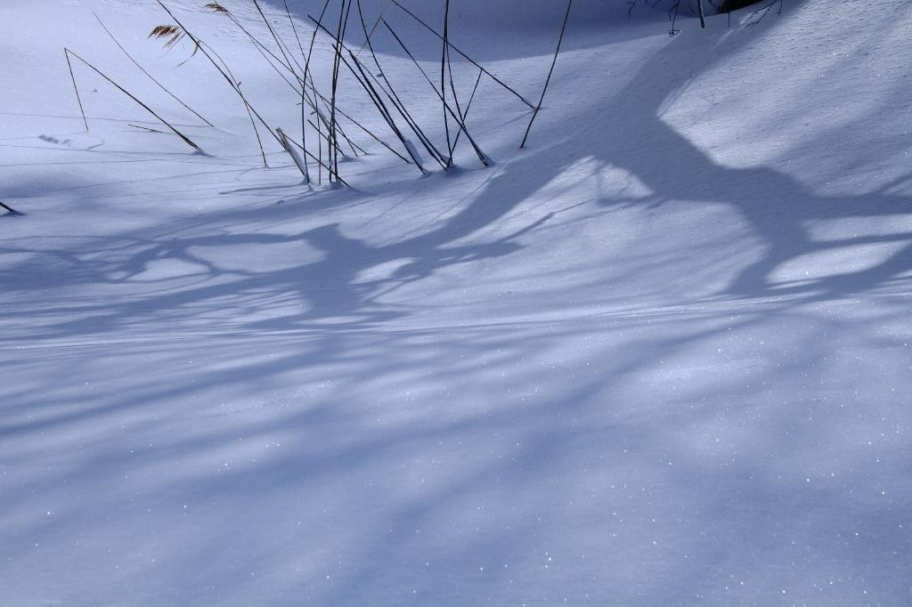 c0356480_20373074.jpg