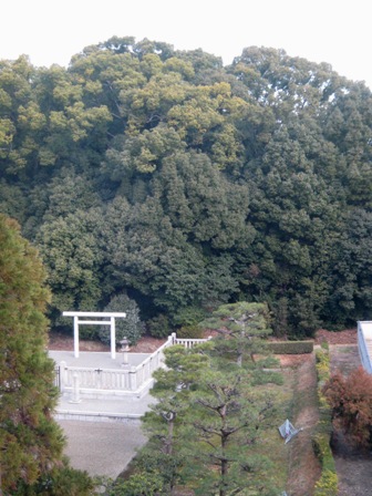 a0208783_2275736.jpg