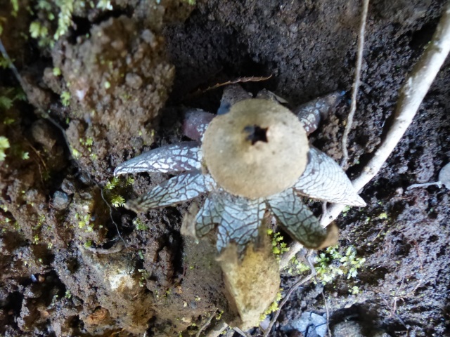 f0357487_1143230.jpg