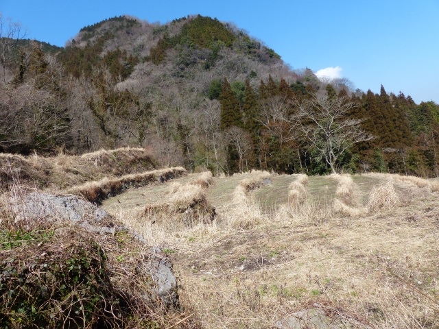 f0357487_1151526.jpg