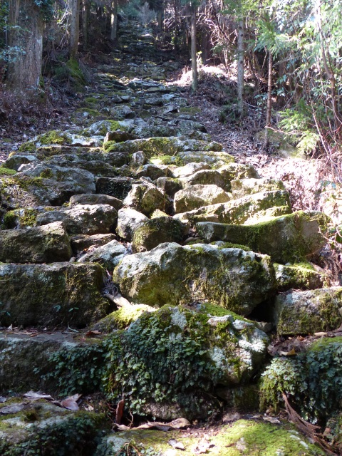 f0357487_1215733.jpg