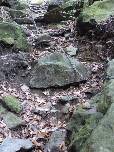 f0357487_1272599.jpg