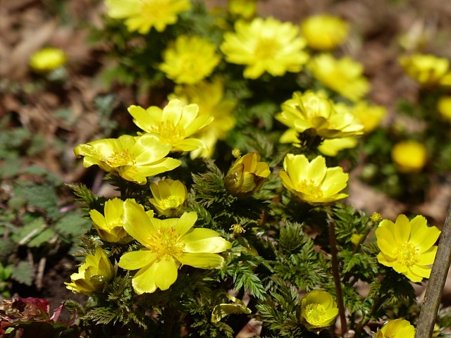 f0357487_22284034.jpg