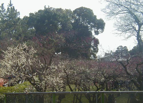 d0053294_2111716.jpg