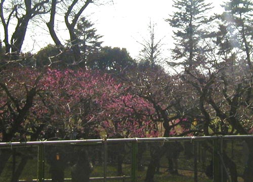 d0053294_2113657.jpg
