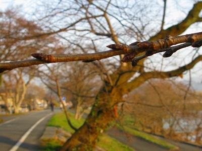 f0181394_17402008.jpg
