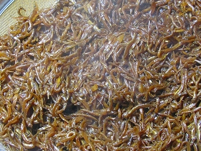 f0181394_17404481.jpg