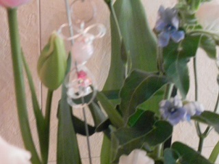 c0152002_18525683.jpg