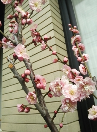 b0082125_10271963.jpg